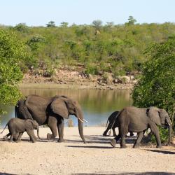Kruger National Park USA Accommodation