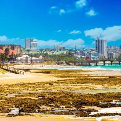 Port Elizabeth USA Accommodation
