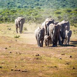 Rustenburg USA Accommodation