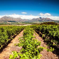 Stellenbosch USA Accommodation