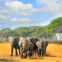 Hwange National Park USA Accommodation