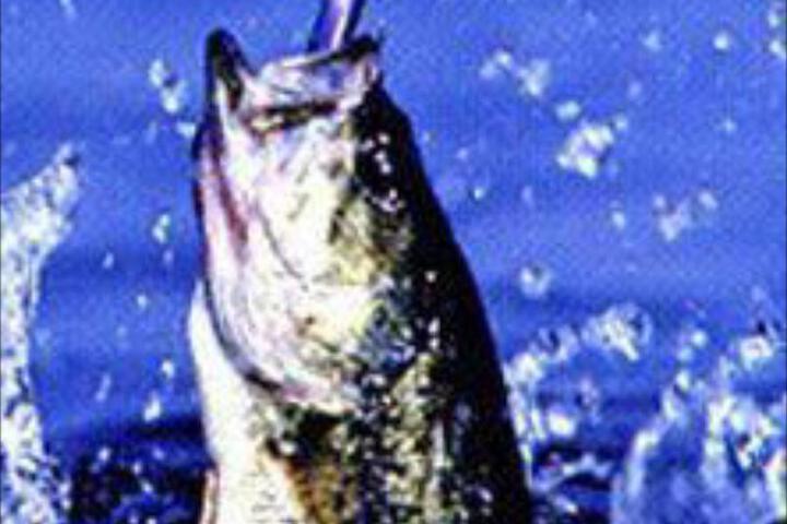 Abbeville Inn - thumb 3