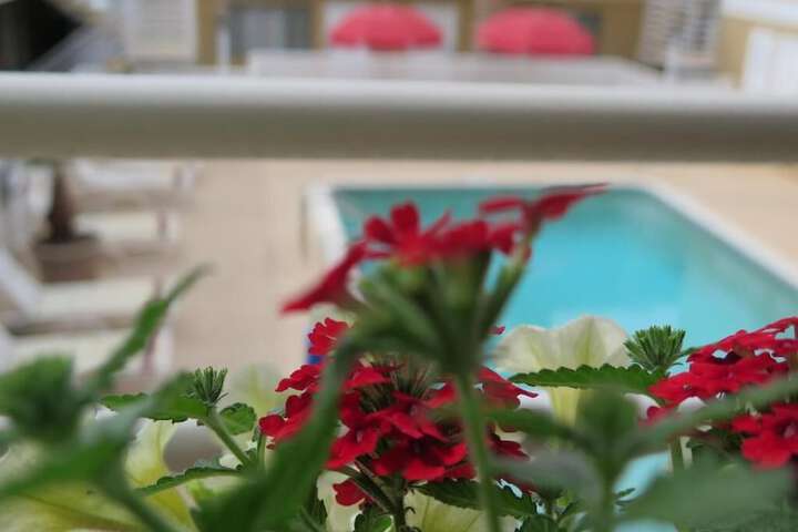 Bonanza Inn & Suites - thumb 5