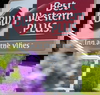 Best Western Plus Inn At The Vines - Tourism Bookings