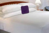 Abney Sc Tourism Bookings