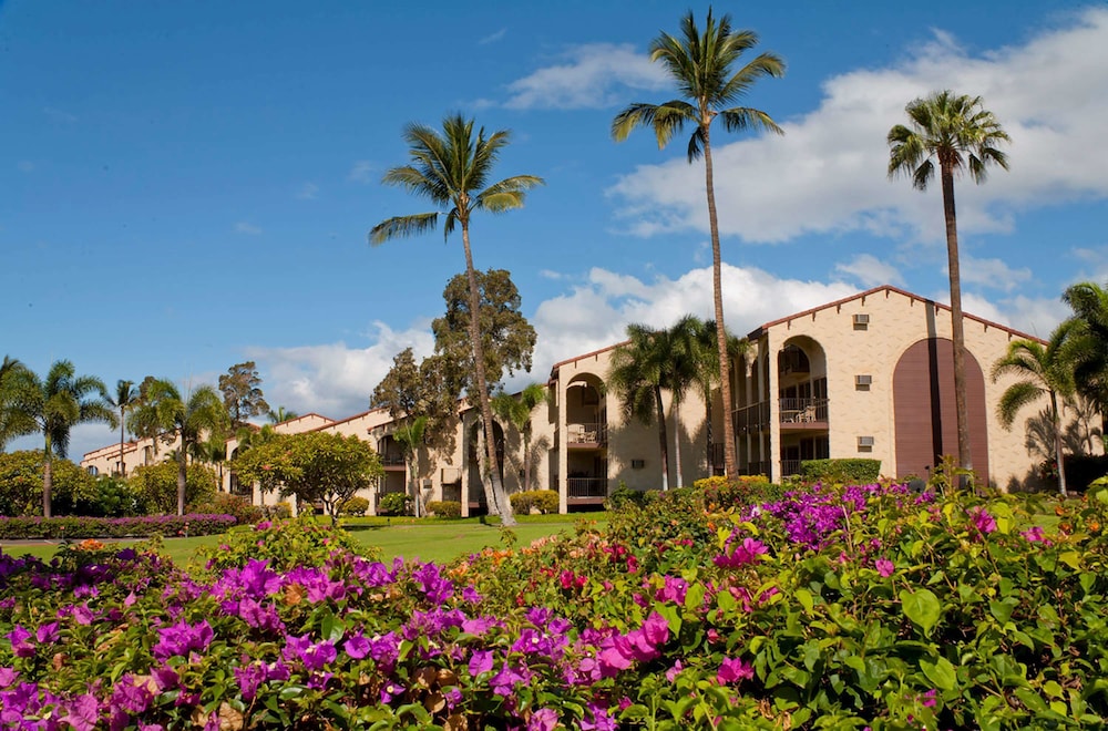 Aston Maui Hill - thumb 1