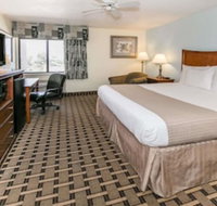 Baymont by Wyndham Arlington At Six Flags Dr - Tourism Bookings