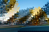 Mammoth Lakes Ca Tourism Bookings