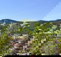 The Vintage Hotel - USA Accommodation