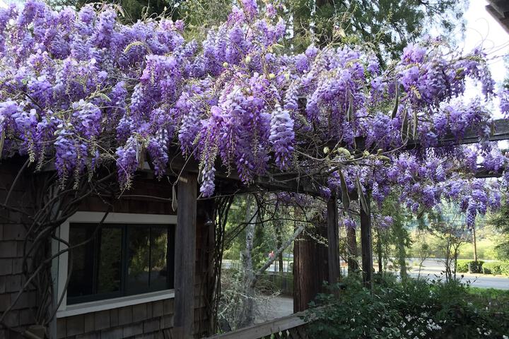 Dawn Ranch Lodge - thumb 2