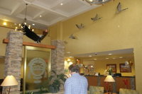 Book Cities Accommodation Vacations, USA Accommodation USA Accommodation