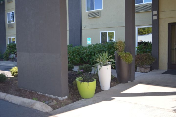 Super 8 By Wyndham Roseburg - thumb 2