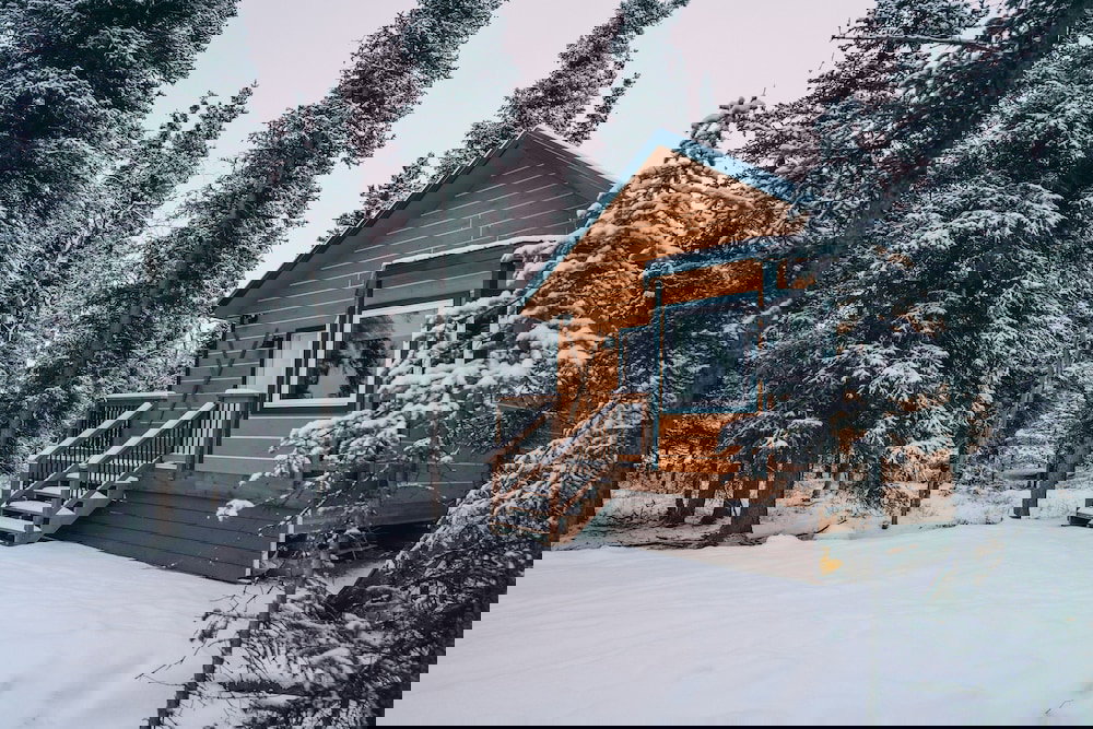 Denali Wild Stay - thumb 6