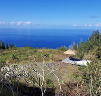 Plumeria Grove Cottage - USA Accommodation