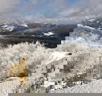 10-503 - Tourism Bookings