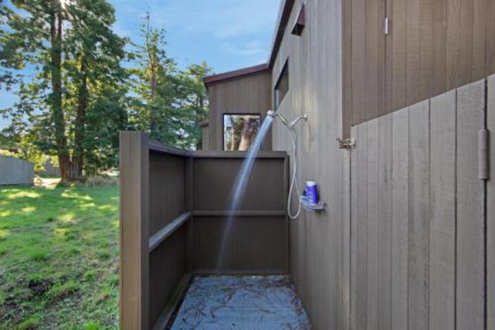 The Wolf House - thumb 5