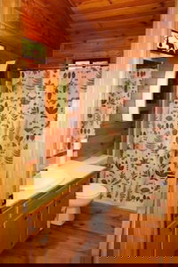 Bear Pause- Cherry Log GA