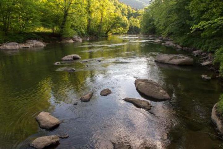 2 Bed 1 Bath Vacation Home In Whittier - thumb 4