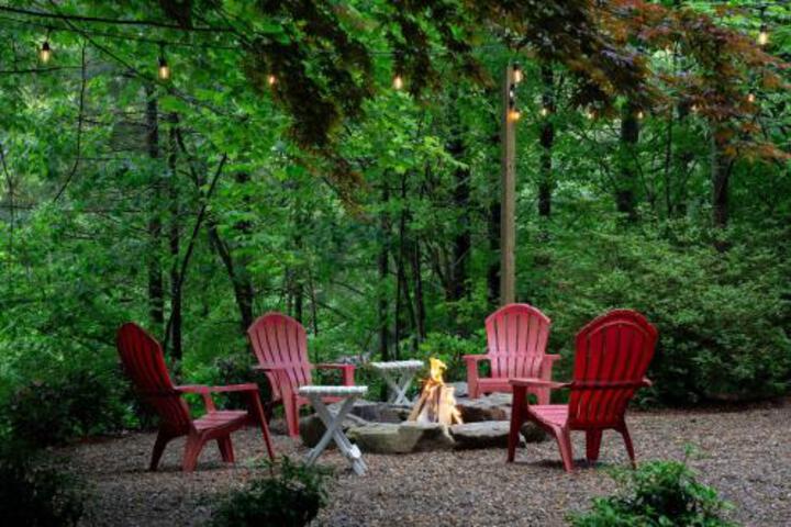 Bears Den Max - thumb 4