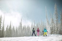 Newly Renovated 2 Bed / 2 Bath Beaver Creek Condo Condo