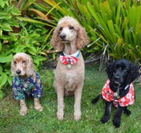 Kailua Beach Studio Tiki Room - USA Accommodation