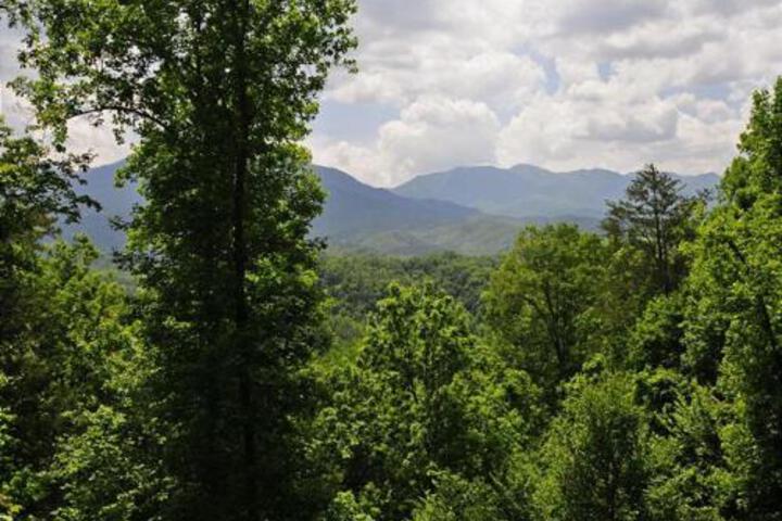 ITS A WONDERFUL LIFE - thumb 2