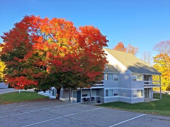 KCIS 432 Killington Tree House: 2 Room Modern Condo - thumb 0