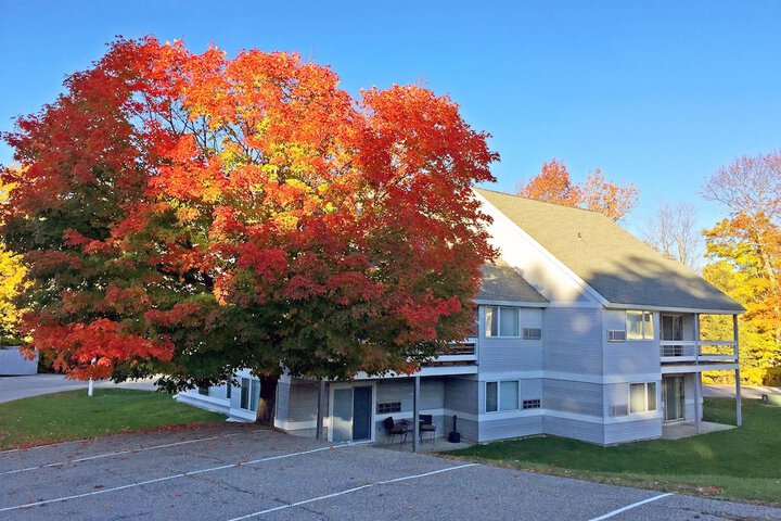 KCIS 612 Forest Fun: Brand New Killington Condo 2RM - thumb 1