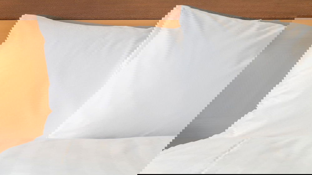 Holiday Inn Chicago Nw Crystal Lk Conv Ctr, An IHG Hotel - thumb 6