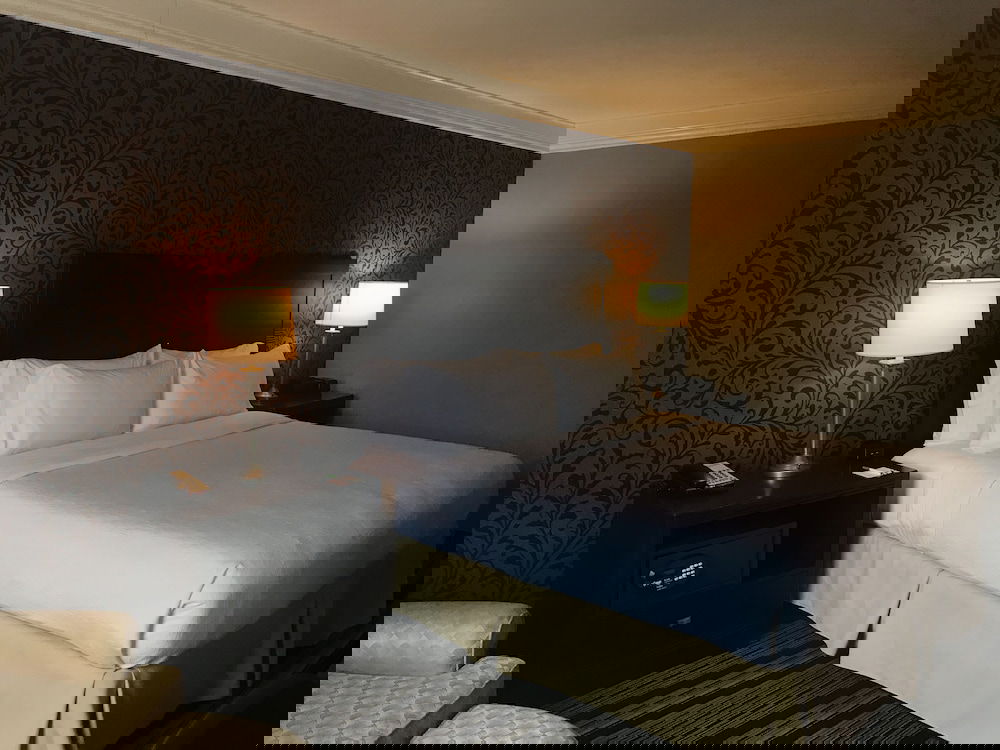 Holiday Inn Cleveland-Mayfield, An IHG Hotel - thumb 5