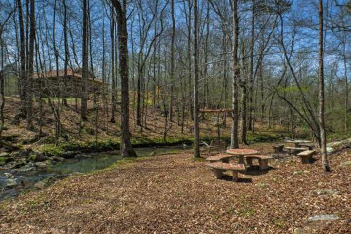 Summerville Cabin W / Private Creek / Blue Hole! - thumb 0