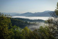 Secluded Home in the Woods w / Smoky Mountain Views
