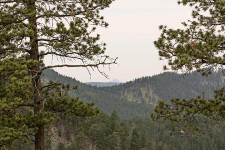Black Hills Cabin W / Deck Near Mt. Rushmore! - thumb 0
