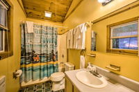 NEW Nantahala Gorge Cabin w / Hot Tub Near Tsali