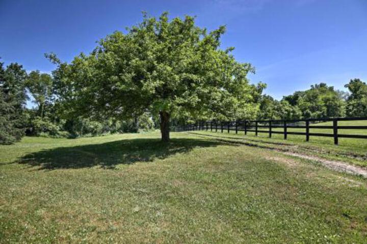 Dutchess County Guest House On Working Horse Farm! - thumb 4