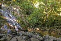 Wintergreen Resort Cabin with Deck Small Dogs Allowed