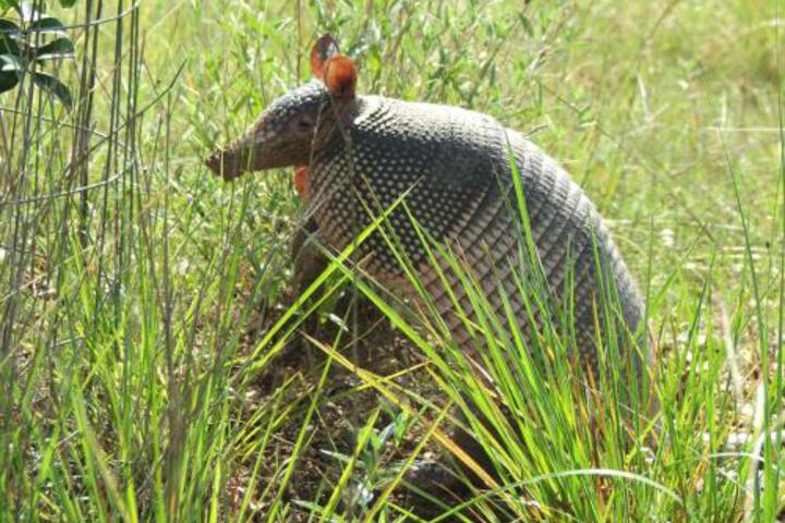 Quiet Utopia Cabin W / Deck & Walking Trails! - thumb 3