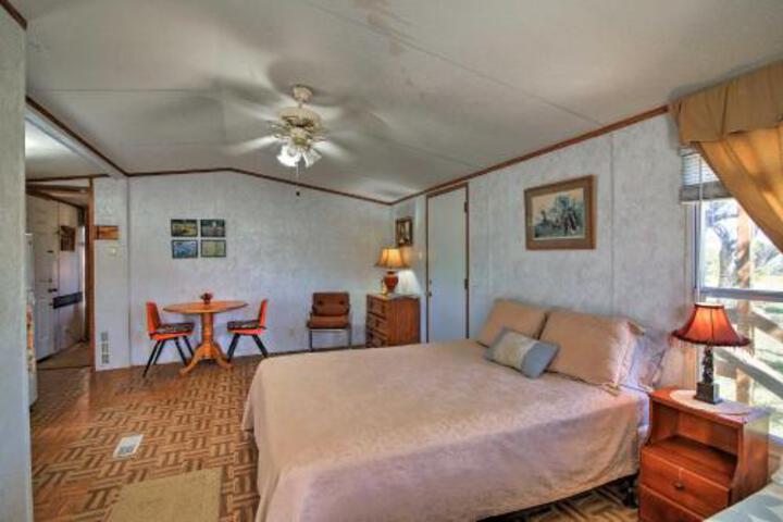 Quiet Utopia Cabin W / Deck & Walking Trails! - thumb 4