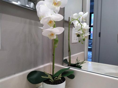 Centrally Located 1BR Loft - thumb 2