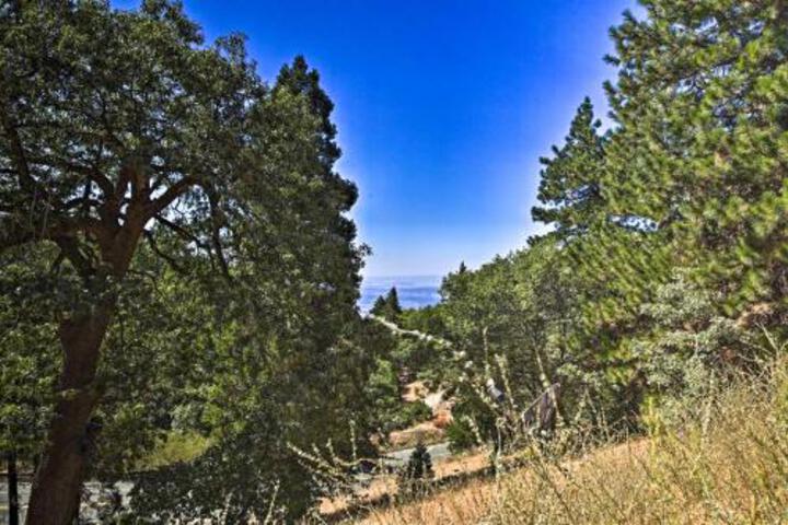 Cabin W / Patio+Grill Less Than .5 Mi To Running Springs - thumb 5