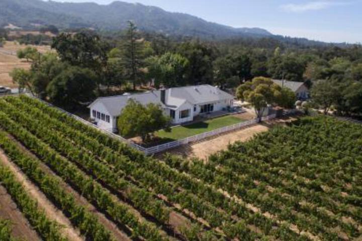 Beautiful Sonoma House With Patio & Vineyard Views! - thumb 4