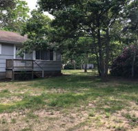 #448 Little Dolphin - Tourism Bookings