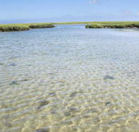 #451 Little Sea Star - Tourism Bookings