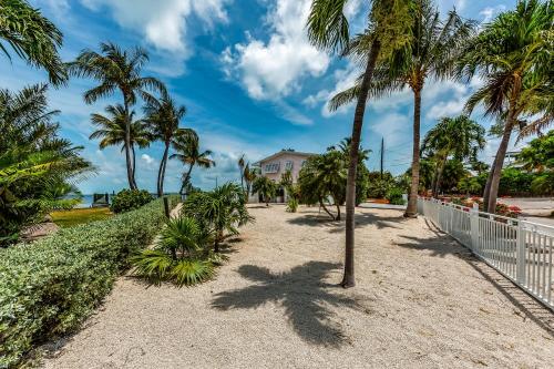 Paradise Found - thumb 4