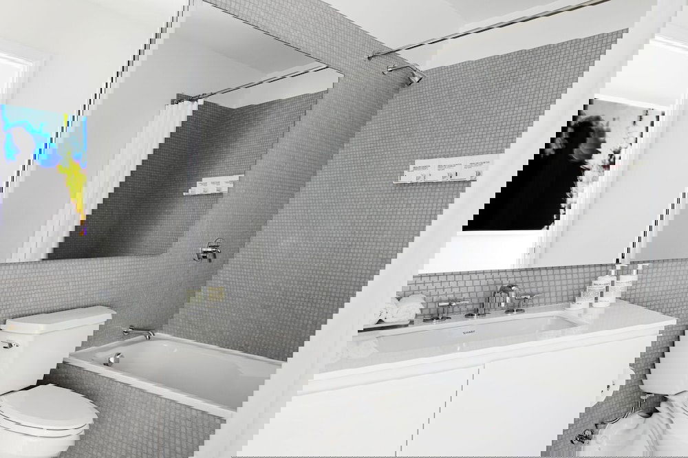 BLACK SWAN - Liz DC - Executive Flat - thumb 3