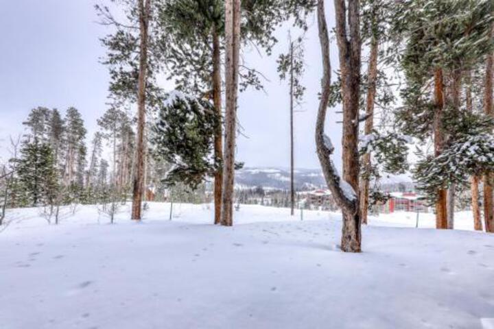 Forest Trail AA - thumb 1