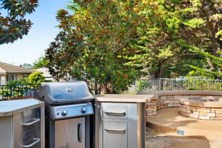 Cypress Paradise - thumb 5