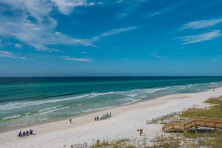 Inlet Beach: Turtle Watch - thumb 3