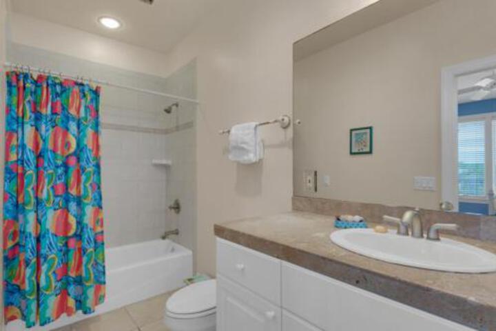 Inlet Beach: Turtle Watch - thumb 6