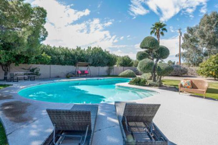 Oasis At Cholla - thumb 5